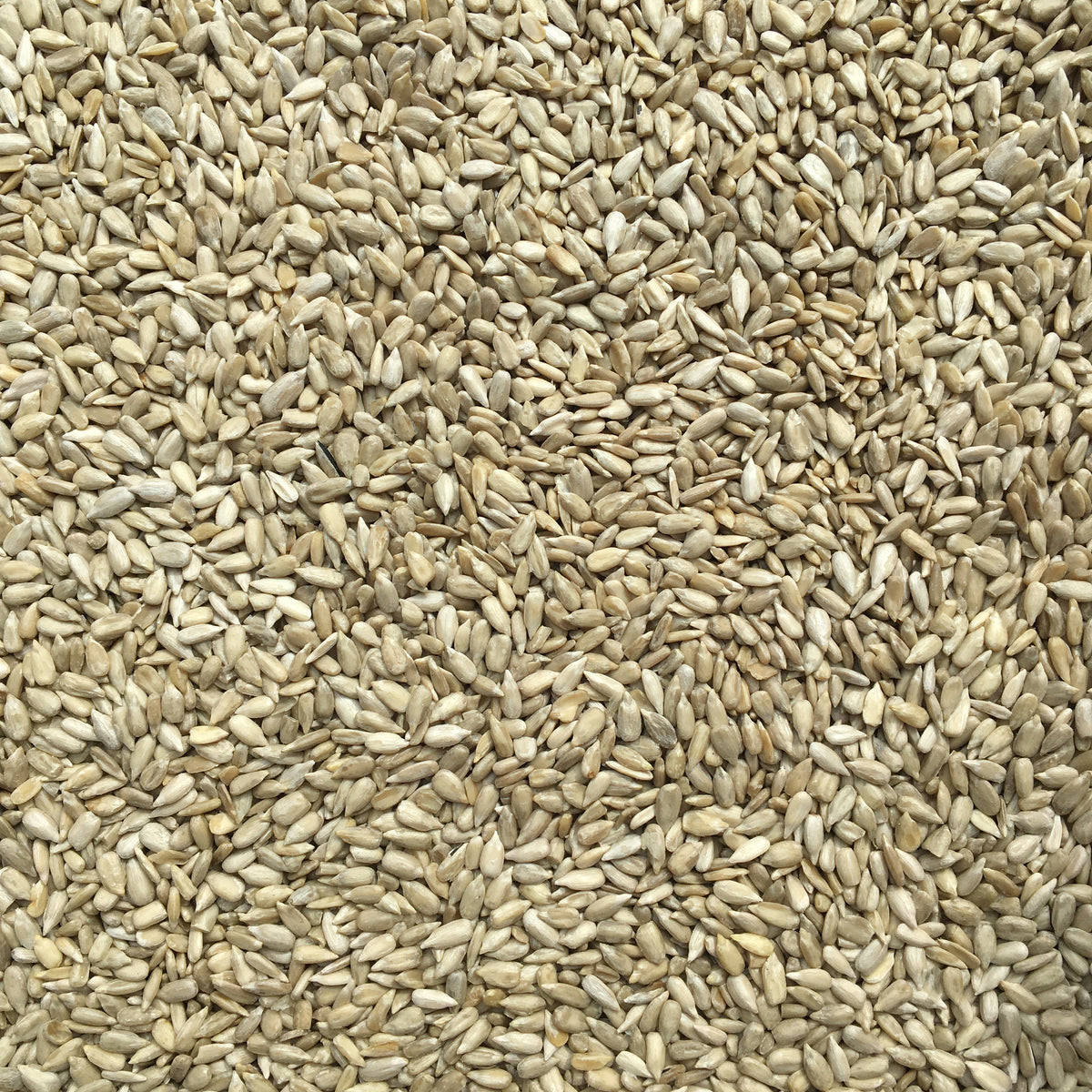 Organic Hulled Sunflower Seeds – Confectionary Grade