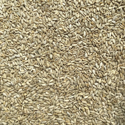 Organic Hulled Sunflower Seeds – Confectionary Grade
