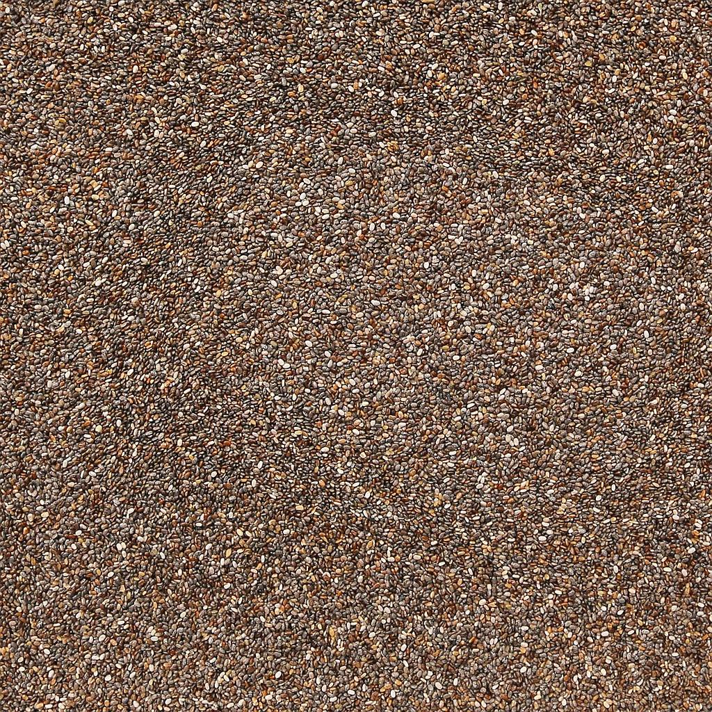 Organic Chia Seeds – Black